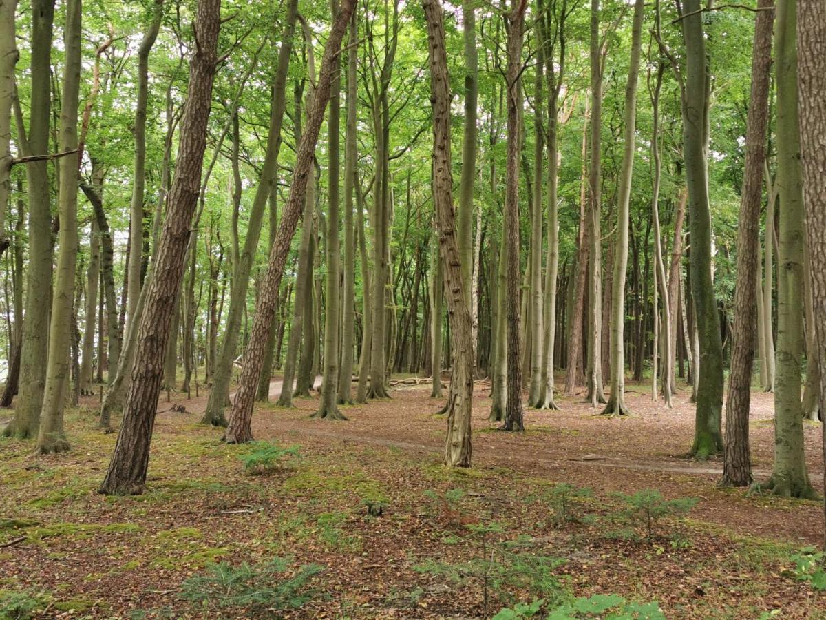 דידריכסהאגן Ferienhaeuschen Kuestenwald Bei Warnemuende, Eigener Garten, Terrasse Mit Strandkorb, 400M Zum Strand מראה חיצוני תמונה