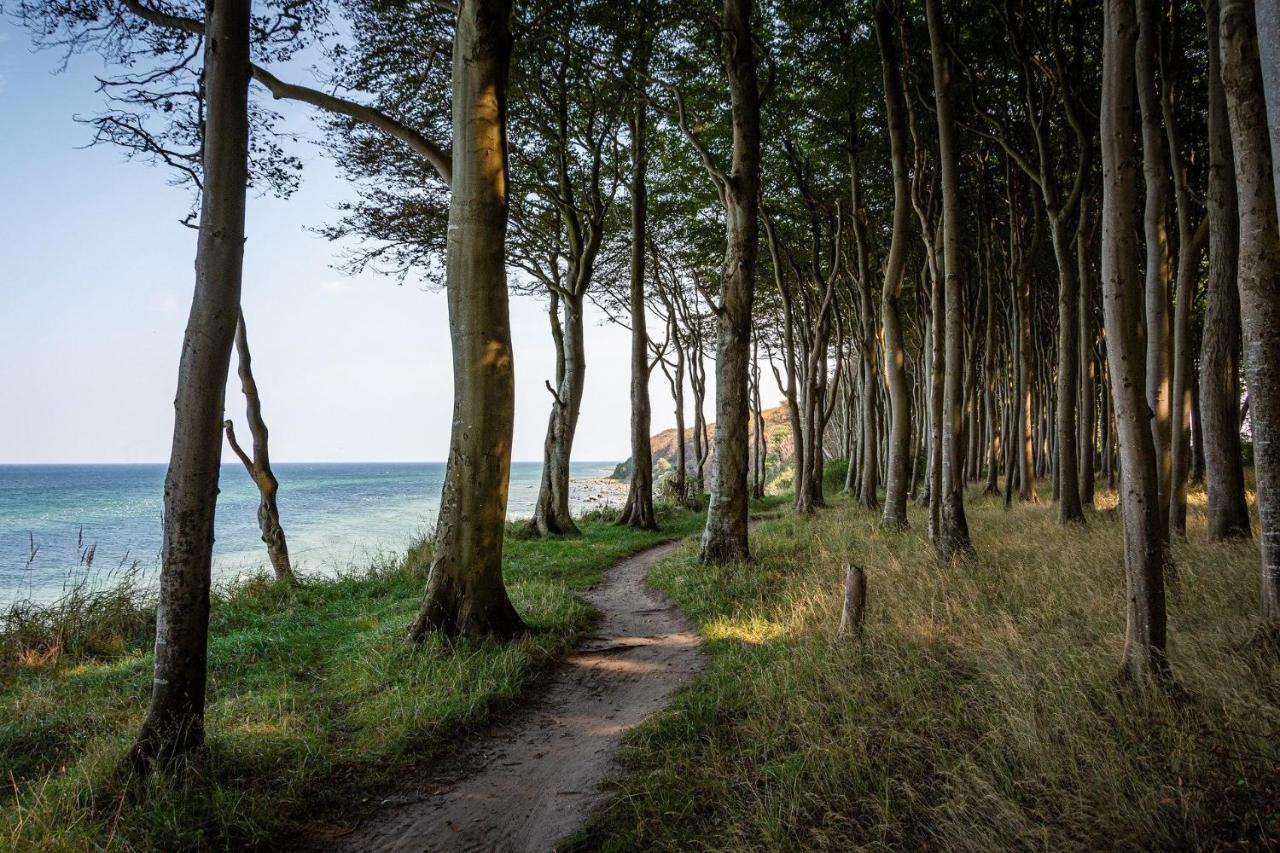 דידריכסהאגן Ferienhaeuschen Kuestenwald Bei Warnemuende, Eigener Garten, Terrasse Mit Strandkorb, 400M Zum Strand מראה חיצוני תמונה